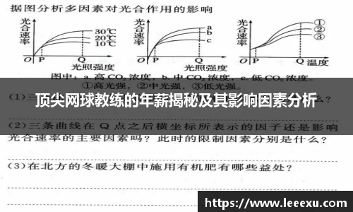 顶尖网球教练的年薪揭秘及其影响因素分析
